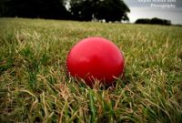 سه موردی که ما از ضرب و شتم زیمبابوه xi در روز ۲ روز V PCC XI برداشتیم سه موردی که ما از ضرب و شتم زیمبابوه xi در روز ۲ روز V PCC XI برداشتیم