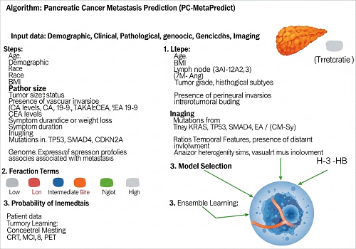 الگوریتمی که پخش شدن سرطان پانکراس رو پیش‌بینی می‌کنه، می‌تونه جلوی عمل‌های جراحی غیرضروری رو بگیره
